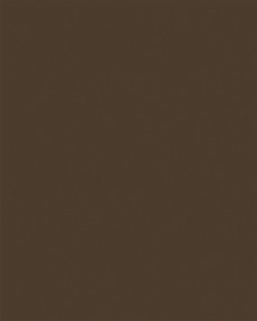 182 BS BU Dark Brown 2800/2070/18 0002573 фото