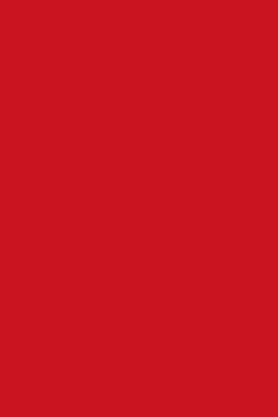 7113 BS BU Chilli Red 2800/2070/18 0000074 фото
