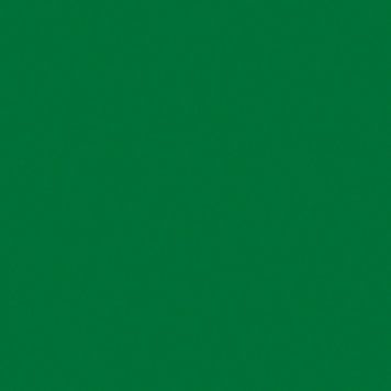 9561 BS BU Oxide Green 2800/2070/18 0000127 фото