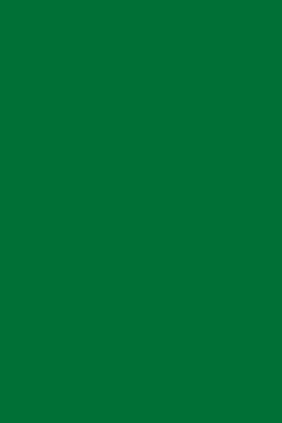 9561 BS BU Oxide Green 2800/2070/18 0000127 фото