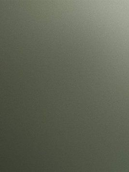 8856M Metallic Olive Мат AFP /8856M Metallic Olive Мат AFP 2800*1300*18 0059116 фото