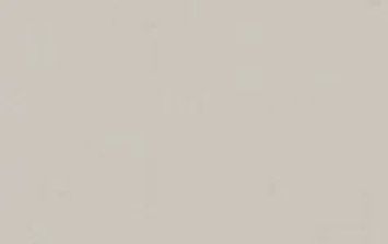 TecnoGlas 3129 MAT 2str Silk Grey 2800/1300/17,6 0003050 фото
