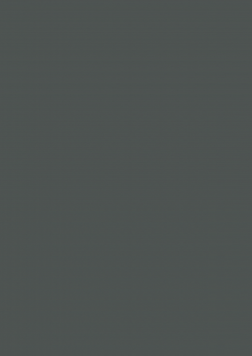 85728 Мат Slate Grey AFP 2800*1300*18 0059025 фото
