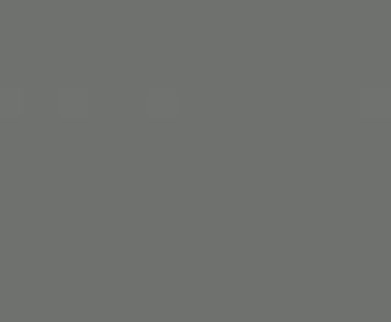 TecnoGlas 2830P HG SCR 2str Stone Grey 2800/1300/18,2 0003051 фото