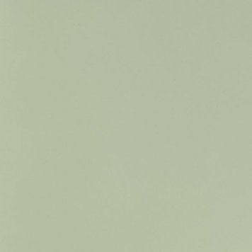 5452M Avocado Green Мат AFP/5452M Avocado Green Мат AFP 2800*1300*18 0059125 фото