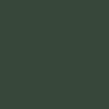 MDF 3027 Forrest Green 2800x1220x18mm 0004157 фото